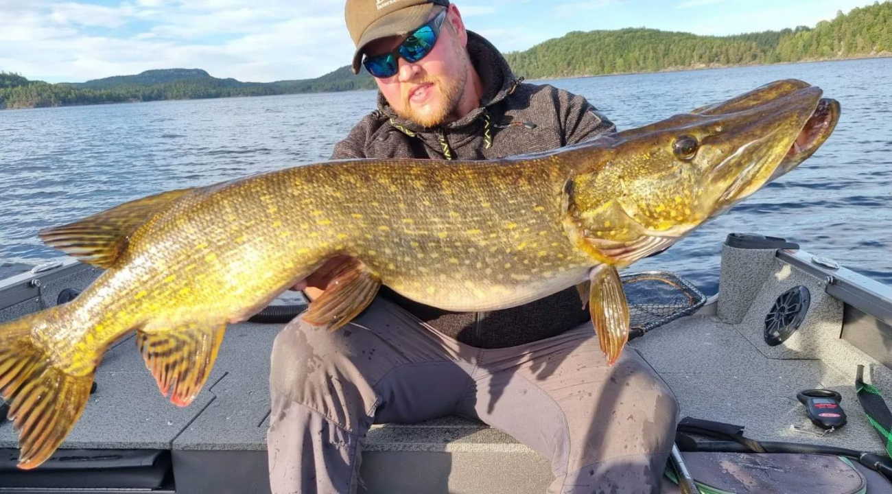 Gnarly Baits Twitch 25 cm